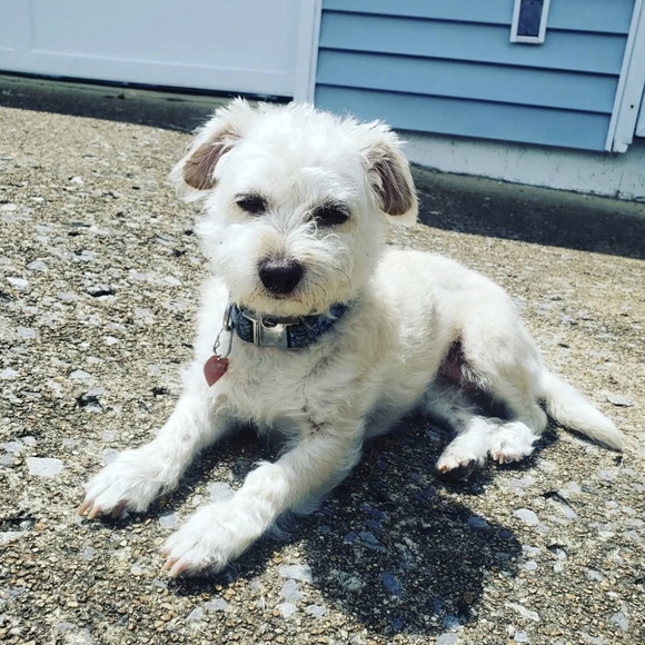 Meet Your Posher - Picture 6 of 7